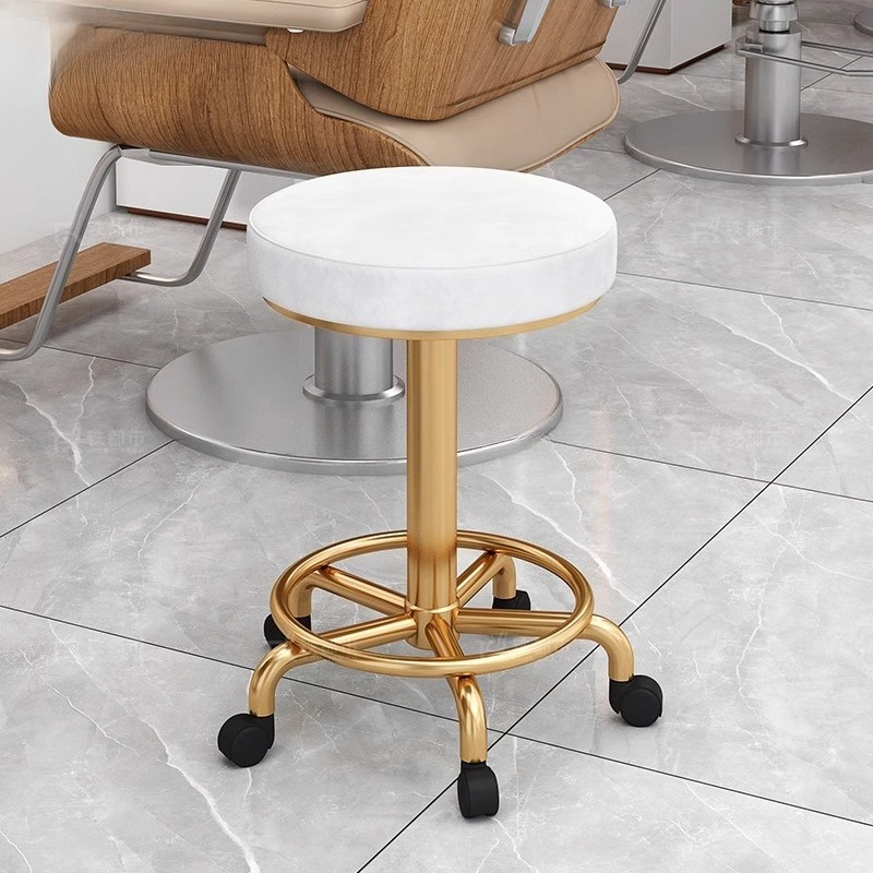 Modern Simple Beauty Stool Pro - Beauty Makeup Chair 리뷰 및 가격