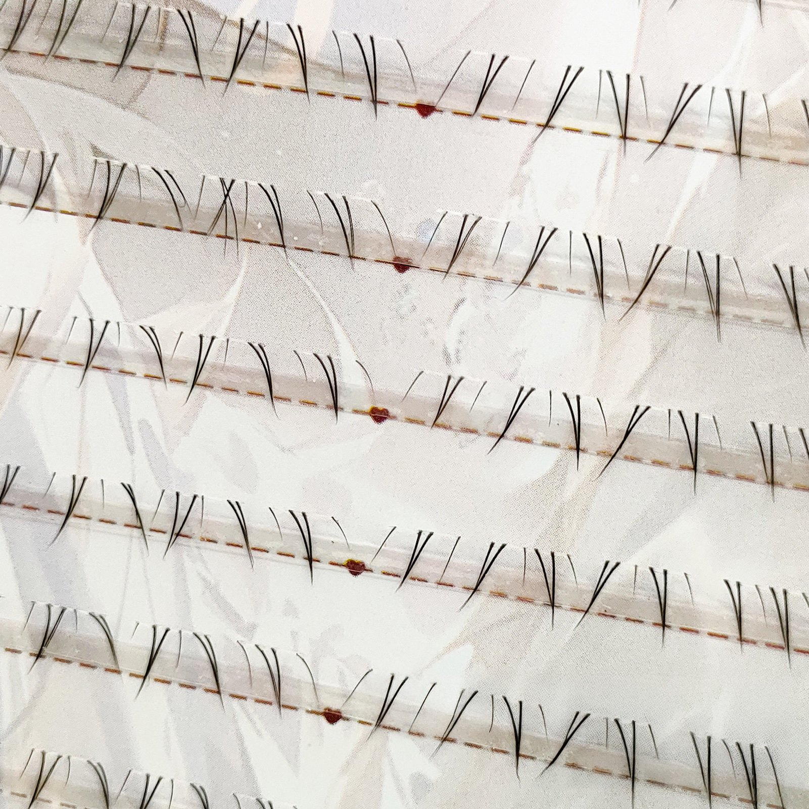 Soft Manga Bottom Lower Eyelas - Eyelash Extension 리뷰 및 가격
