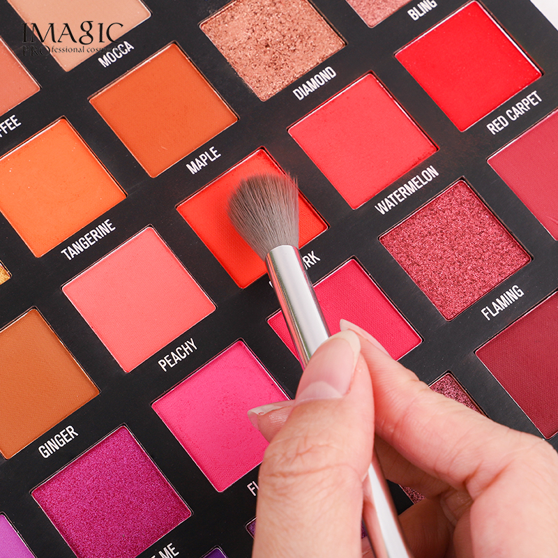 IMAGIC 13 Pcs/Set Professional - Beauty Makeup Images 리뷰 및 가격