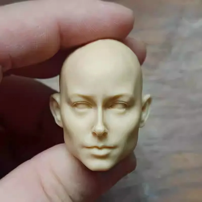 1/6 Scale Unpainted European B - Beauty Makeup Edit 리뷰 및 가격