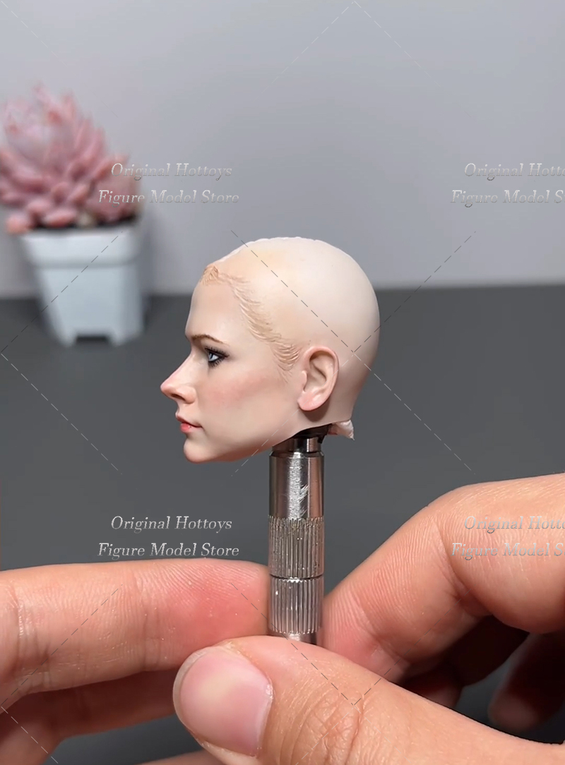 1/6 Scale Female Soldier Head  - Beauty Makeup Edit 리뷰 및 가격