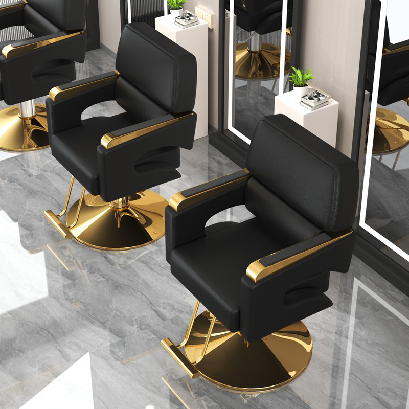Modern Adjustable Swivel Haird - Beauty Makeup Chair 리뷰 및 가격