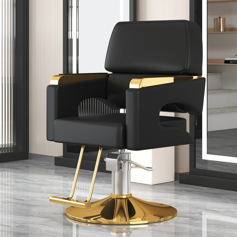 Modern Adjustable Swivel Haird - Beauty Makeup Chair 리뷰 및 가격